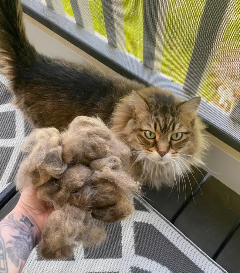 İrem G. tarafından paylaşılan fotoğraf